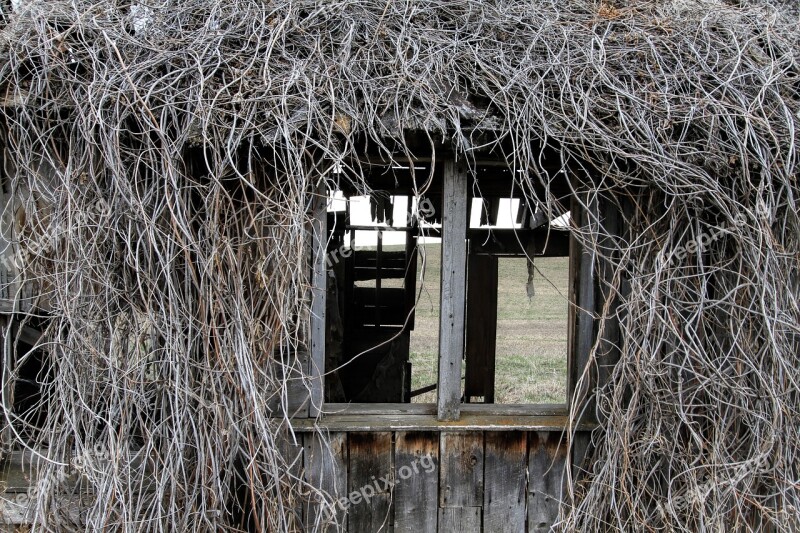 Old Farm House Decay Home Farm Architecture