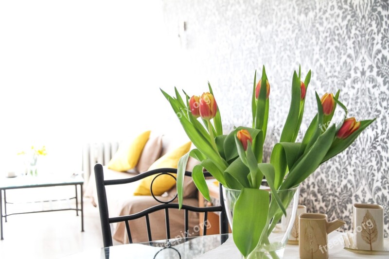 Apartment Flowers Tulips Room House