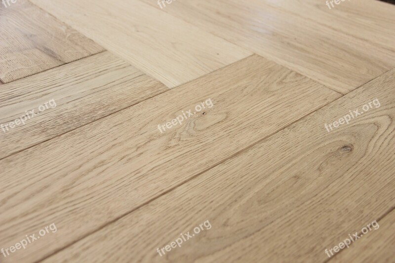 Herringbone Floor Pattern Parquet Interior