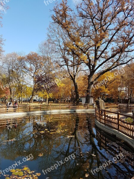 Reflections In Water Landscape Autumn Trees Free Photos