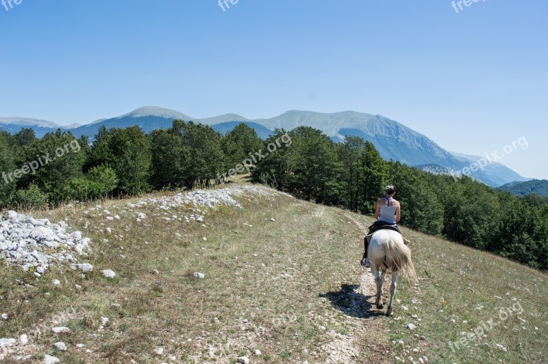 Horse Horses Mountain Mountains Mare