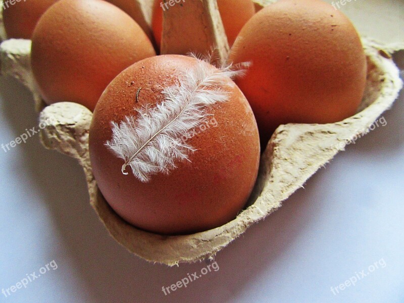 Eggs Chicken Egg Feather White Feather Box