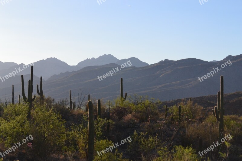 Desert Landscape Saguaro Nature Mountain