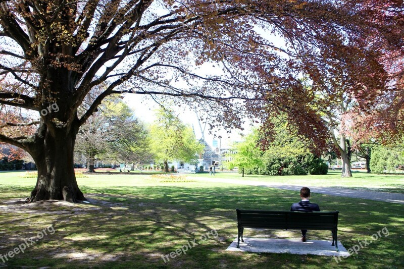 Trees Park Benches Figure People Park