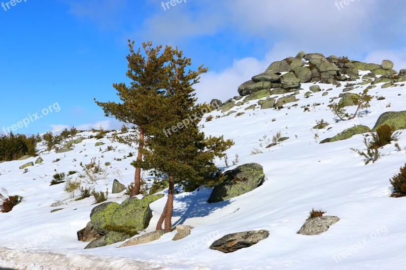 Serra Da Estrela Snow Winter Mountain Landscape