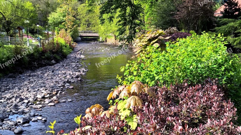 Creek Steinig Autumn Nature Leaves