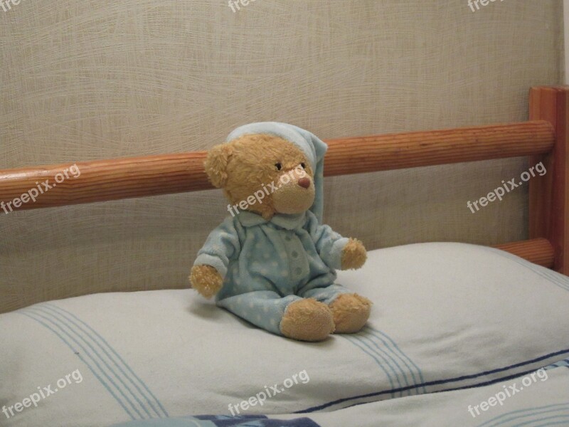 Teddy Teddy Bear Children Cute Soft Toy