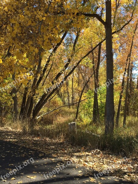 Colorado Autumn Scenic Landscape Nature