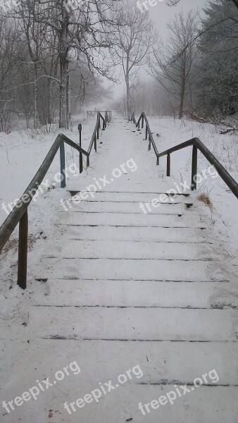 Stairs Snowy Winter Nature Landscape