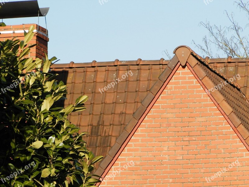 House Roof Garden Tree Fireplace