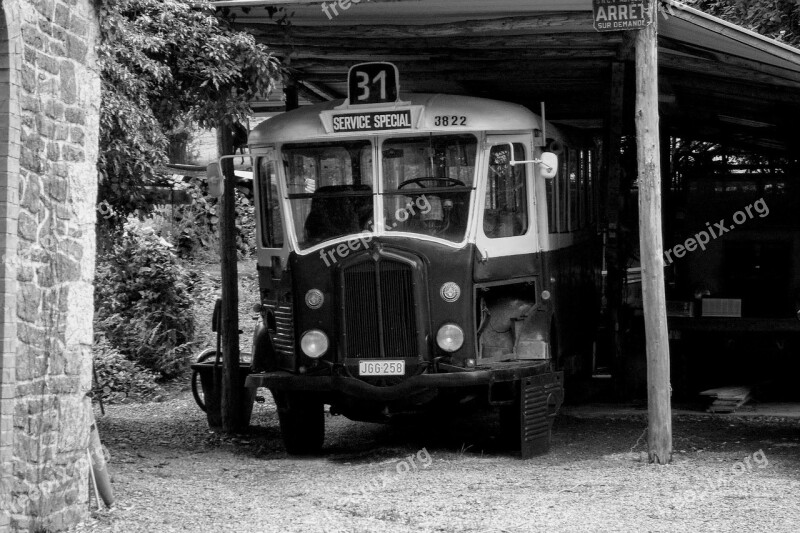 Bus Old Oldtimer School Bus Retro