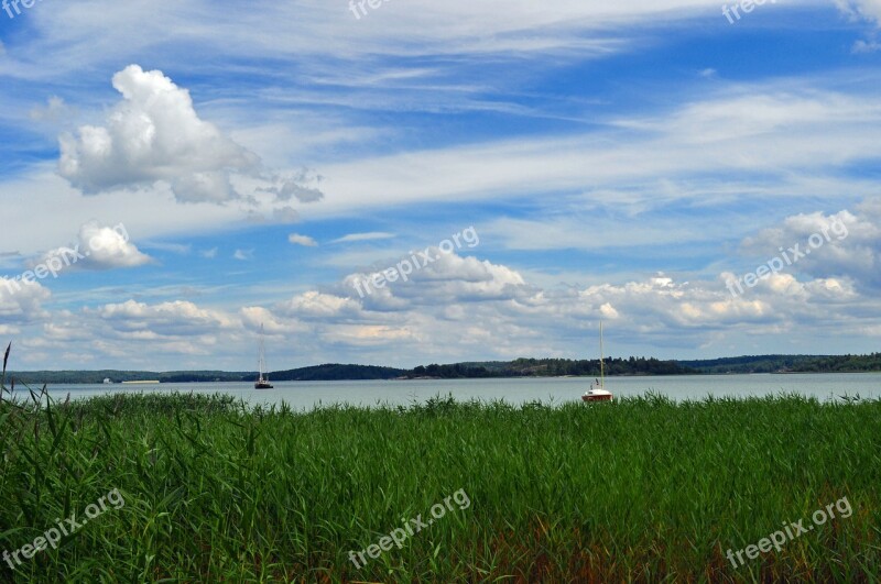 Grass Cloud Summer Nature Landscapes