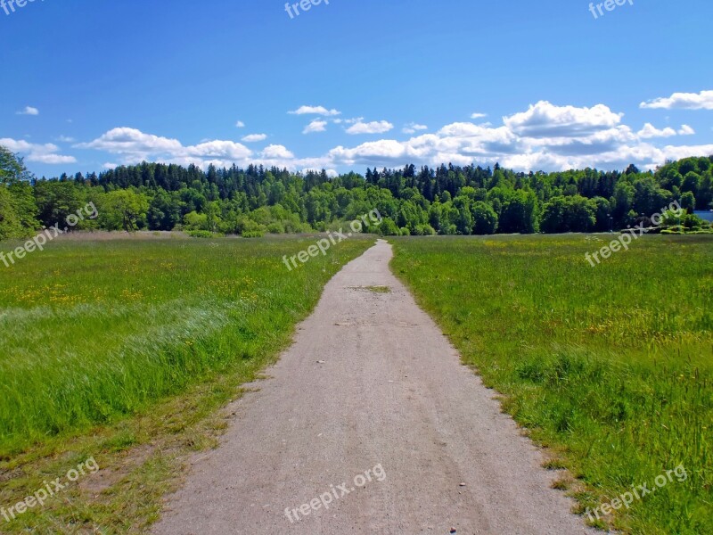 Road Landscapes Nature Himmel Sky Blue