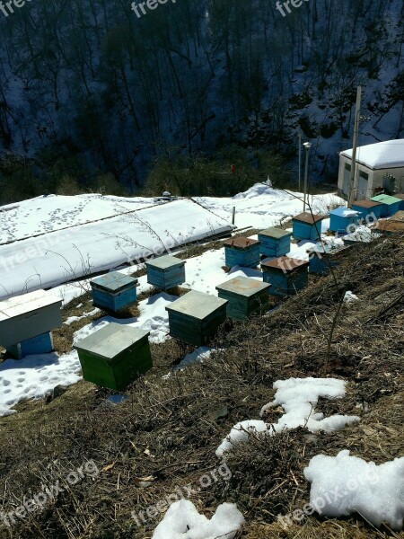 Apiary Apiary In The Mountains Apiary In Surb Haghartsin Spring Thaw