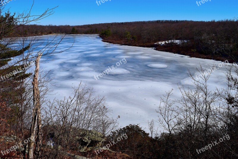 Lake Frozen Winter Branch Wood