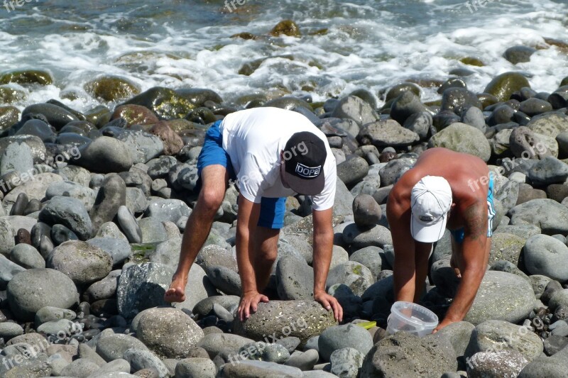 Oysters Visitors Men Sea Water Beach