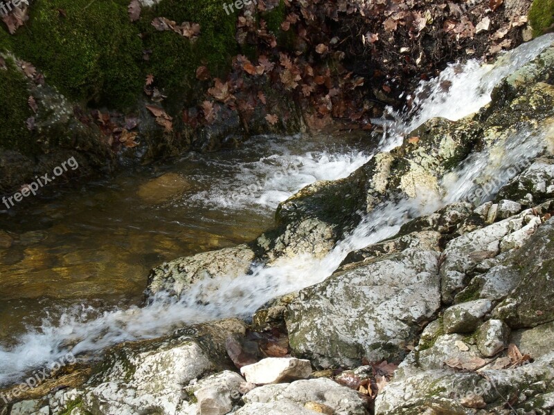 Pilis Forest Tour Excursion The Forest