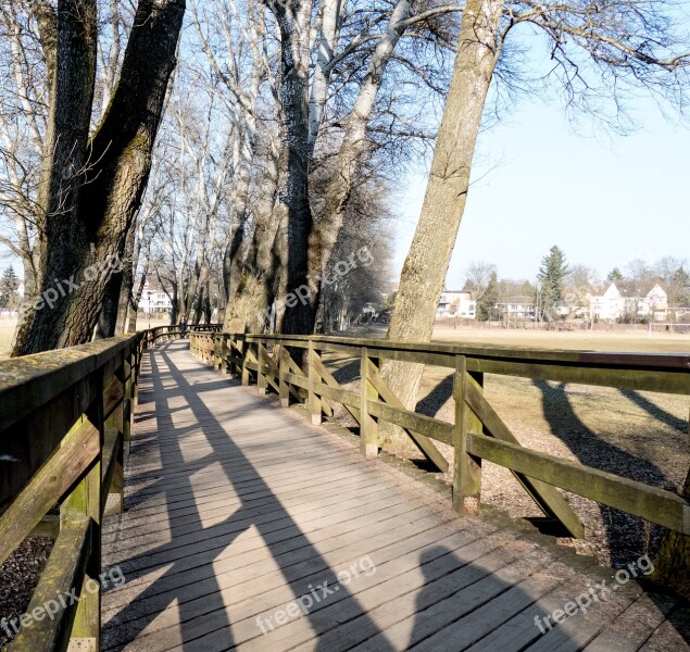 Web Bridge Wooden Bridge Park Nature