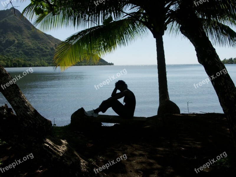 French Polynesia Island Of Moorea Atoll Beach Lagoon