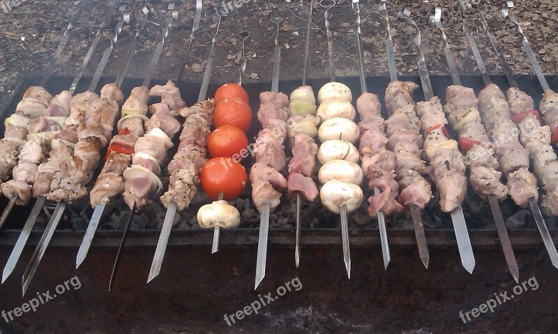 Picnic Shish Kebab Mangal Skewers Tasty