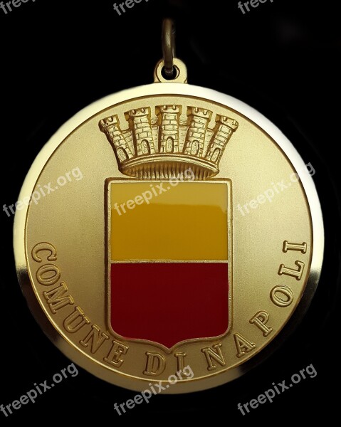 Order Award Gold Coin Badge