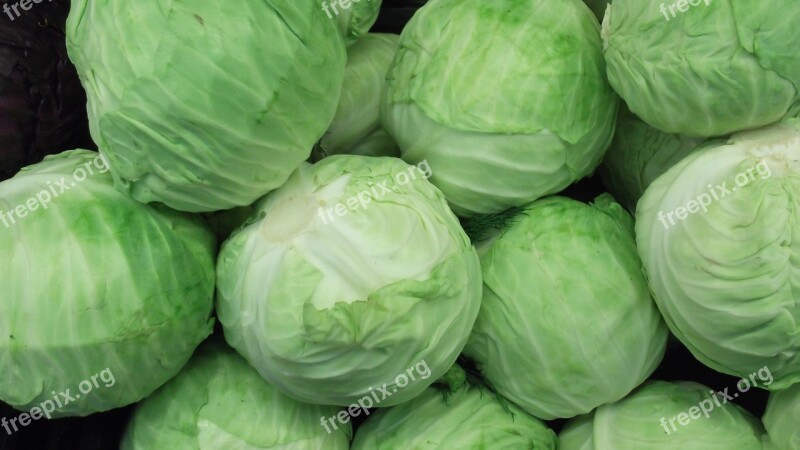 Cabbage Green Cabbage Vegetable Food Free Photos