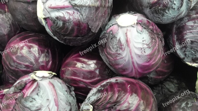 Cabbage Vegetable Food Purple Cabbage Free Photos