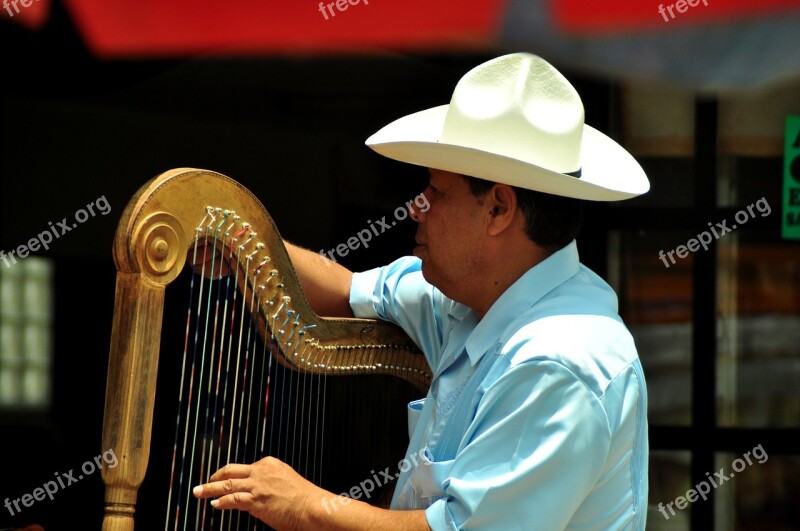 Musician Harp Puebla Mexico Music