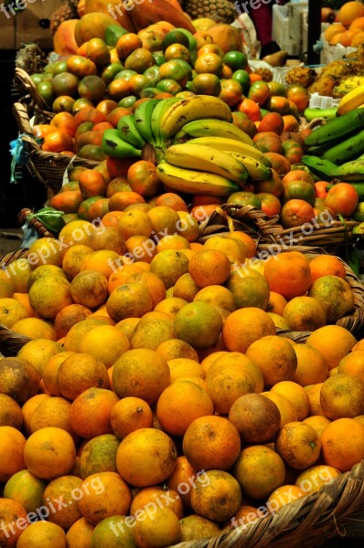 Oranges Fruit Market Food Citrus