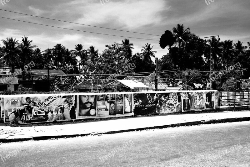 India Kerala South India Palm Trees Road