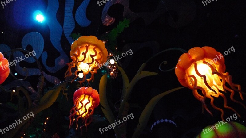 Hong Kong Disney Jellyfish Free Photos