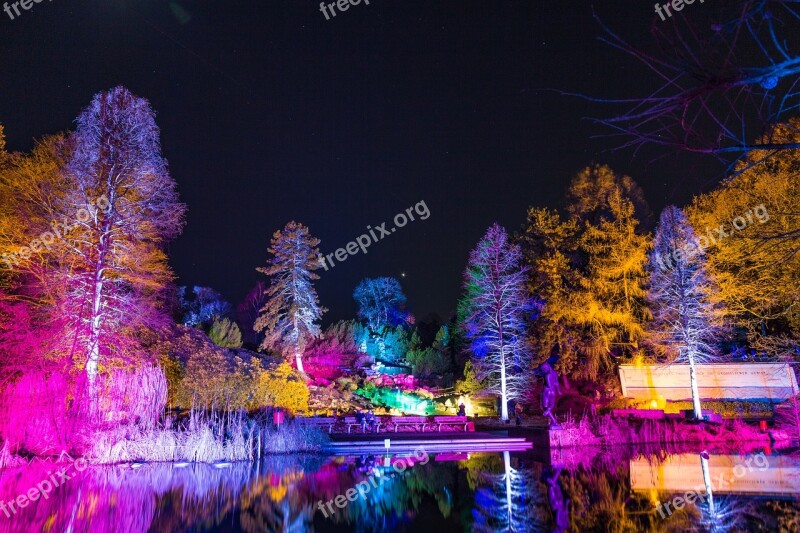 Parking Lights Water Reflections Color Star