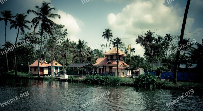 India Kerala Palm Trees Water Nature