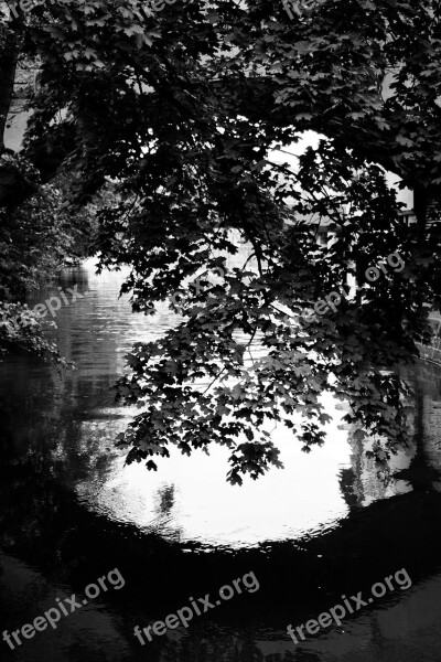 River Reflection Leaves Tree Nature Autumn