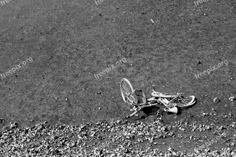 Bike Scrap Forget Alone Lost