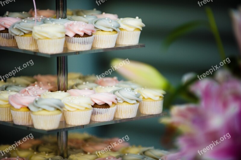 Cake Cupcake Party Wedding Cake Birthday Cake