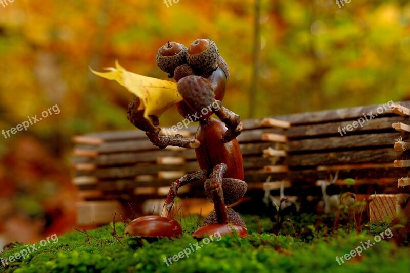 Smoke Pot Nature Wood Forest Figure