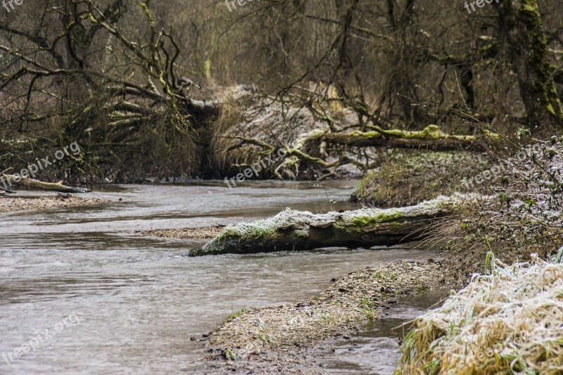 Amper River Bach Forest Watercourse