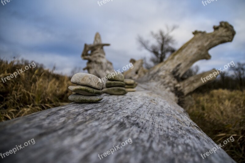 Isar Tree Sky Clouds Nature