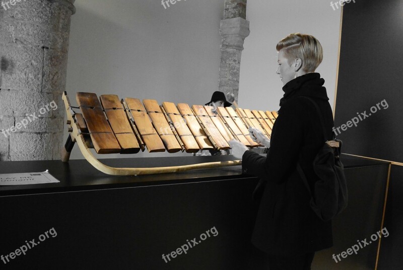 Music Marimba Acoustic Percussion Instrument Biennale