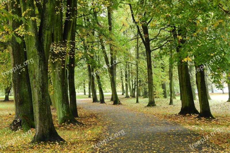 Park Path In The Park Alley Autumn Stromovka