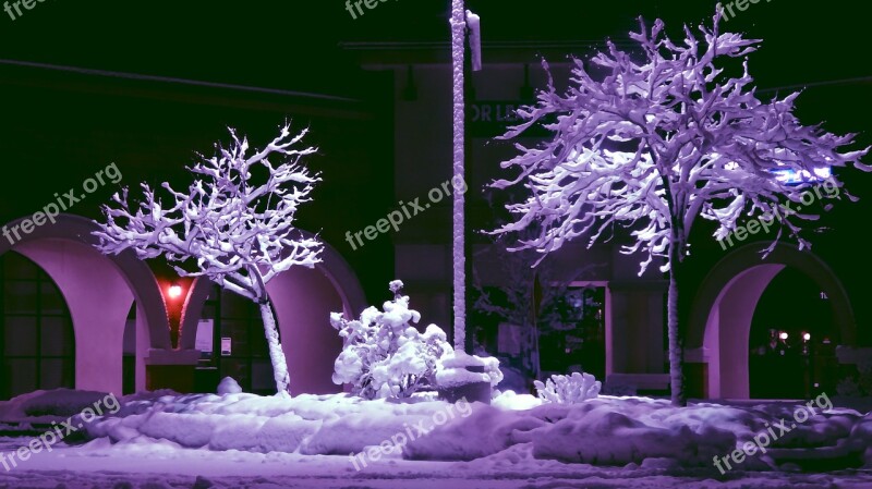 Parking Lot Parking Lot Snow Trees