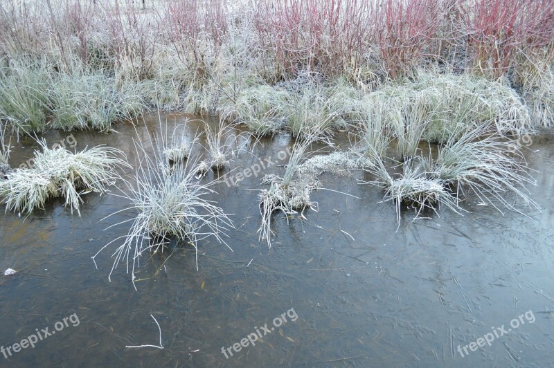 Frost Frozen Lake Winter Landscape Lake Cold