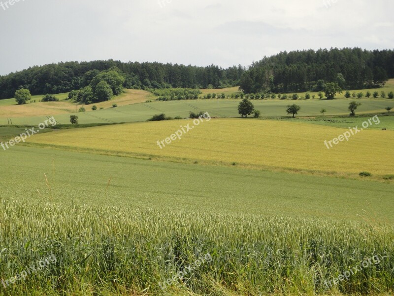 Resin Lower Saxony Südharz Germany Landscape