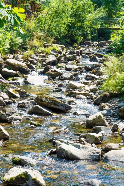 Resin Boulder Bach Forest Landscape