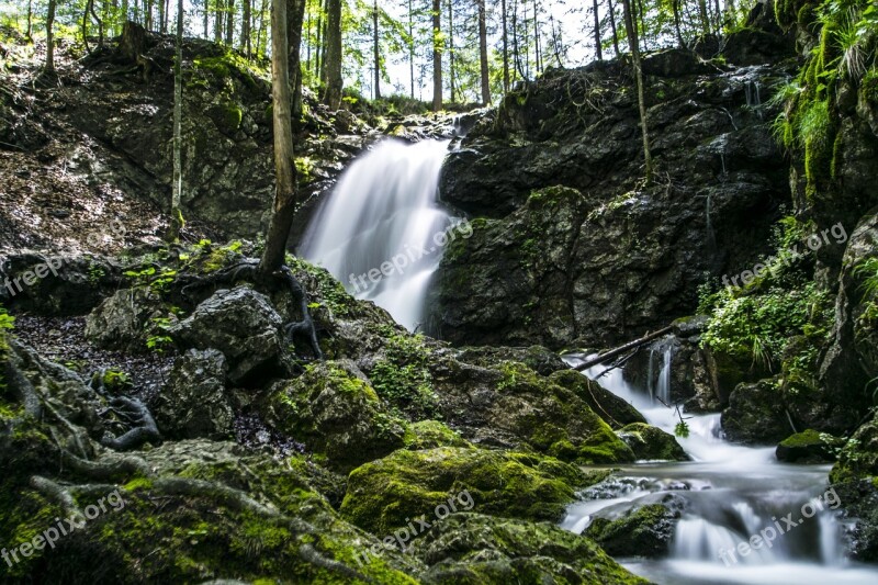 Forest Waterfall Schliersee Nature Landscape