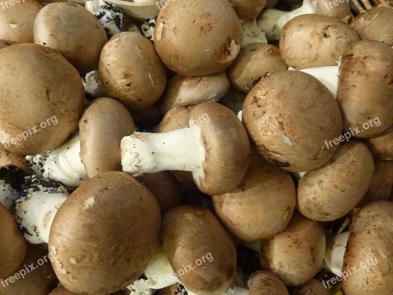 Food Mushrooms Vegetable Fresh Healthy