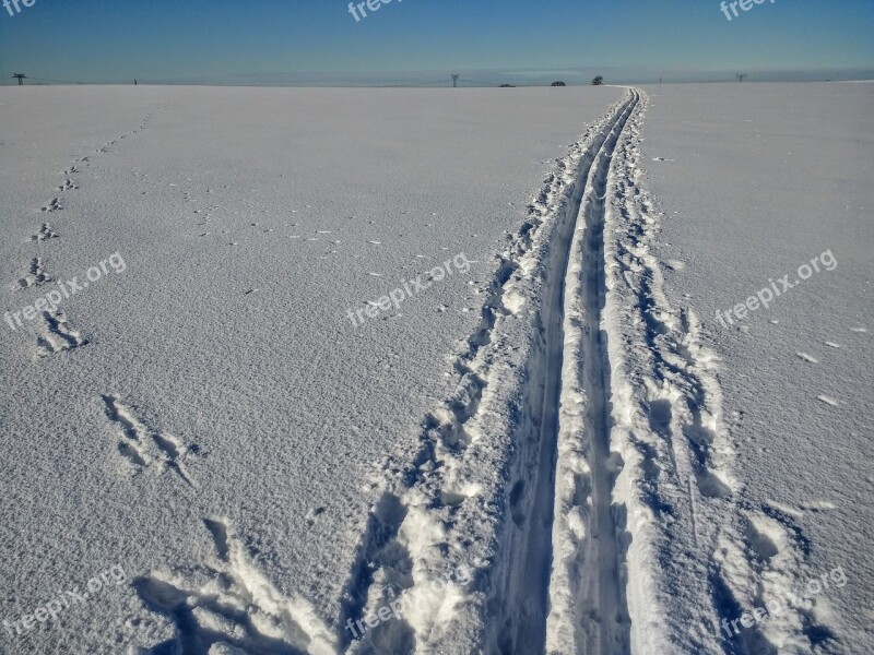 Cross Country Skiing Ski Snow Wintry Snowy