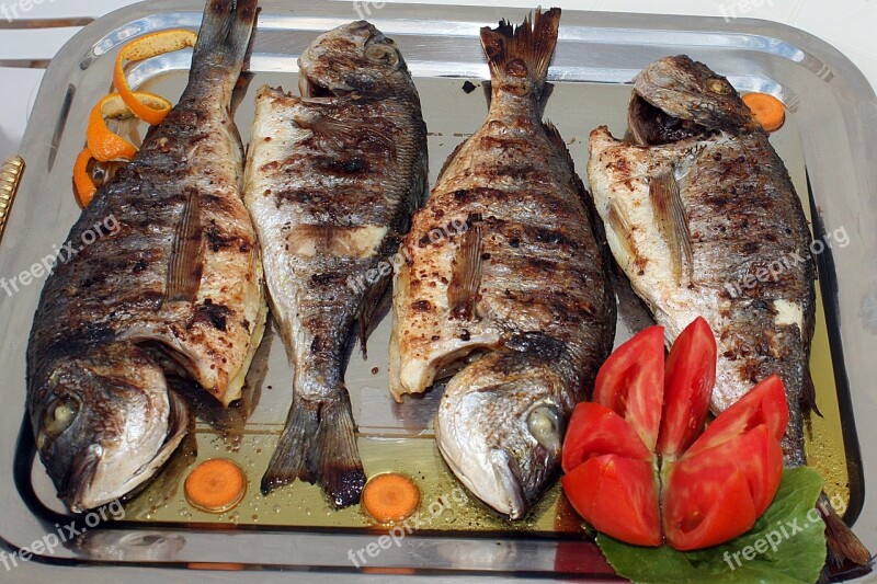 Fish Grilled Fish Dinner Dish Grilling