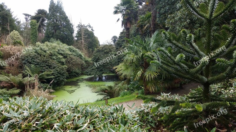 Lake Nature Trees Water Landscape